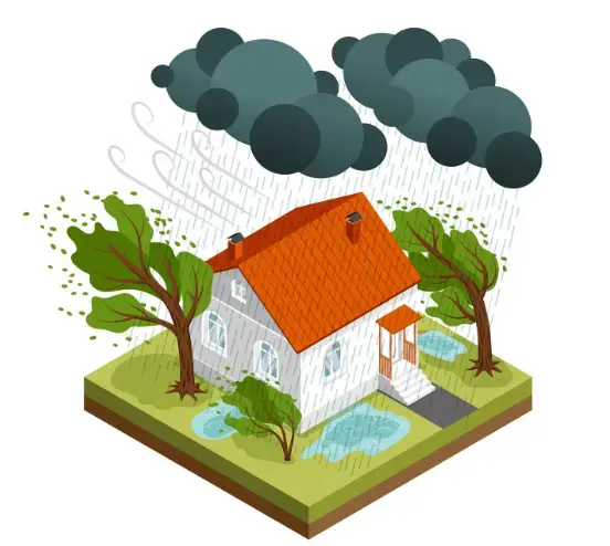 Signs Your Roof Has Hidden Water Damage